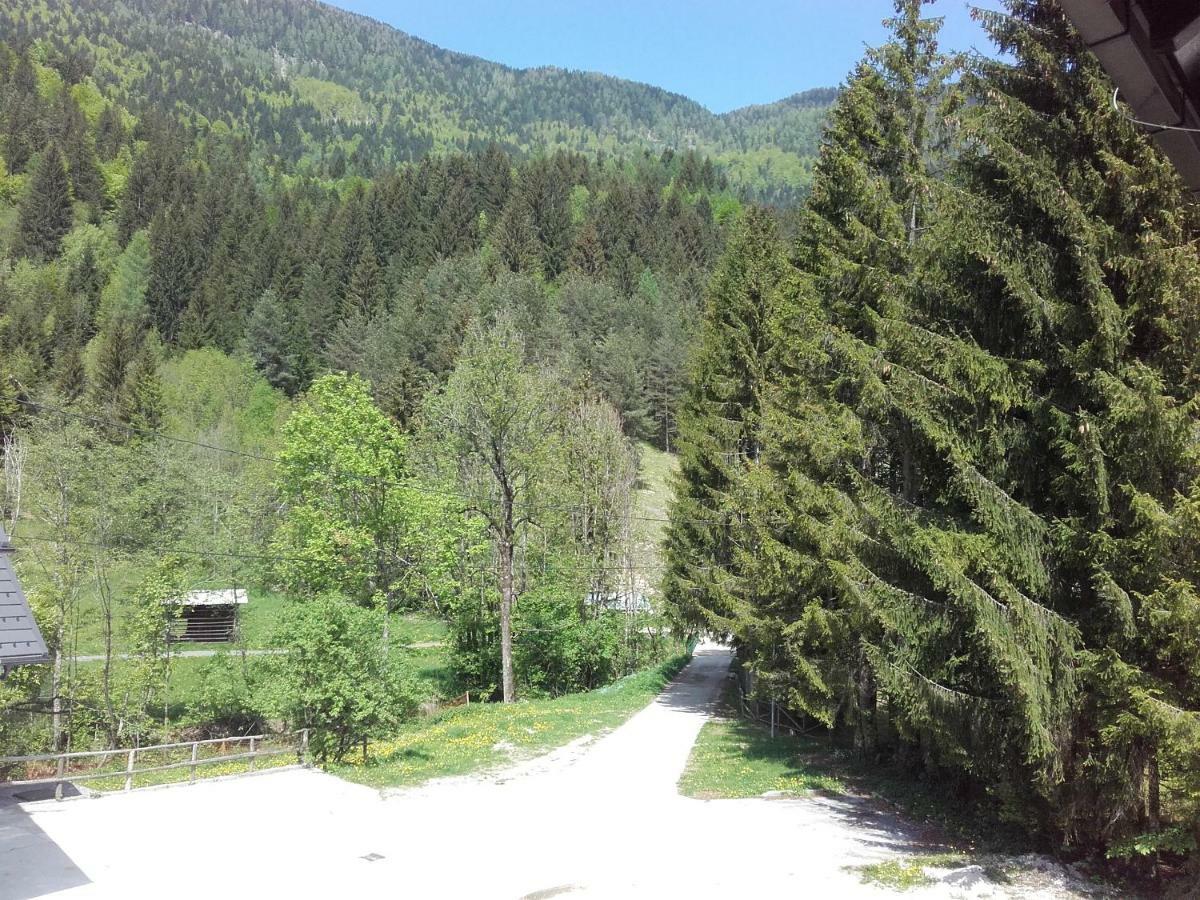 Klass 203 Apartamento Kranjska Gora Exterior foto