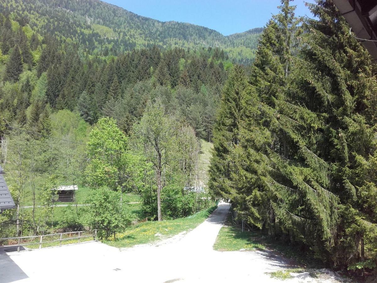 Klass 203 Kranjska Gora Exterior foto